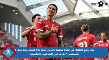 هل ينجح الهلال في إنهاء صفقة داروين نونيز بـ53 مليون يورو قبل 6 أغسطس؟ تعرف على التفاصيل الحاسمة